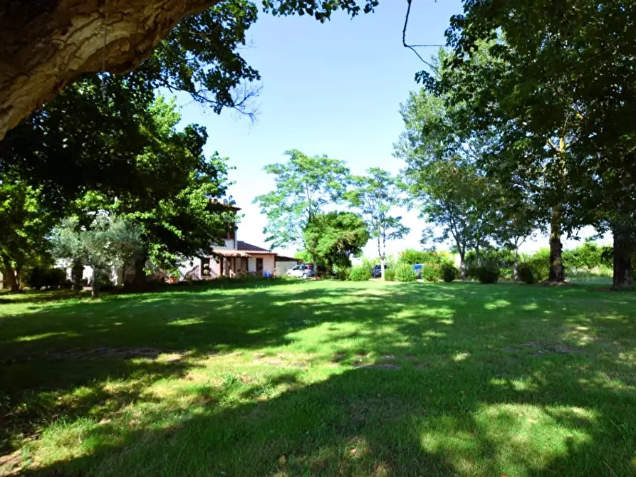 Immagine 61 di Villa in vendita  a Pontedera