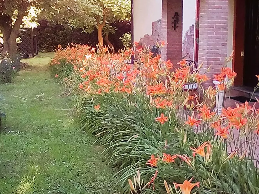 Immagine 11 di Villa in vendita  a Pontedera