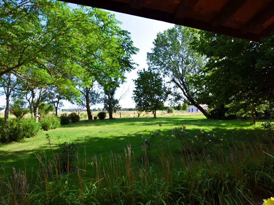 Immagine 5 di Villa in vendita  a Pontedera