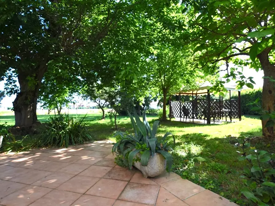 Immagine 58 di Villa in vendita  a Pontedera