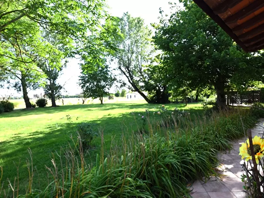 Immagine 67 di Villa in vendita  a Pontedera