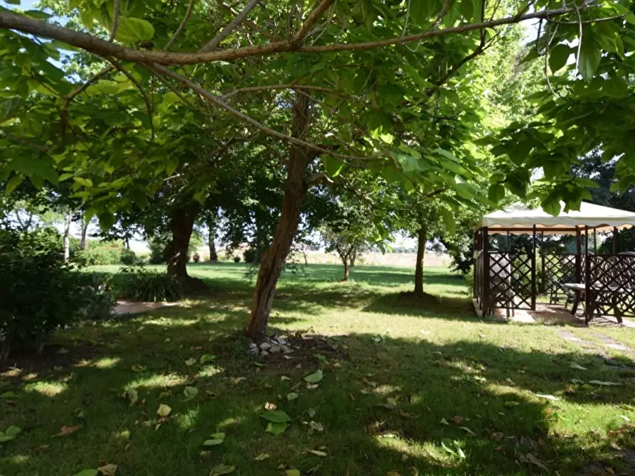 Immagine 4 di Villa in vendita  a Pontedera