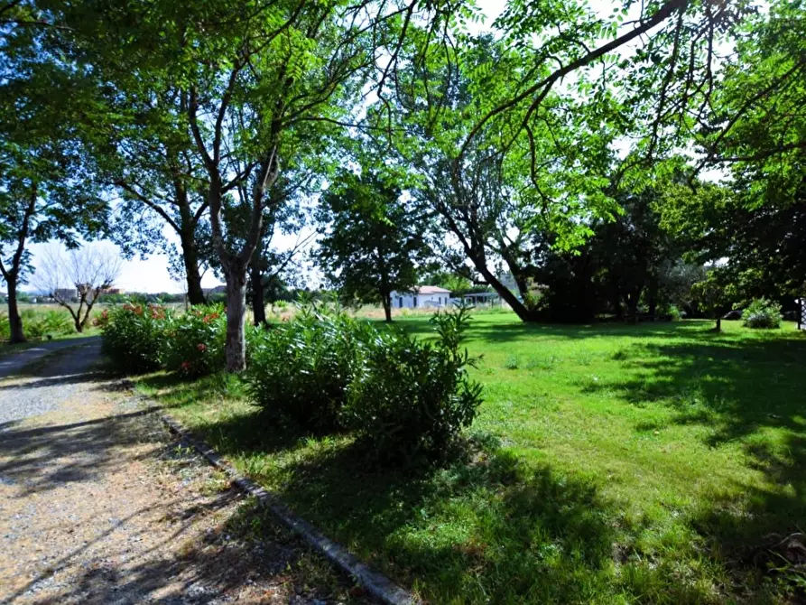 Immagine 8 di Villa in vendita  a Pontedera