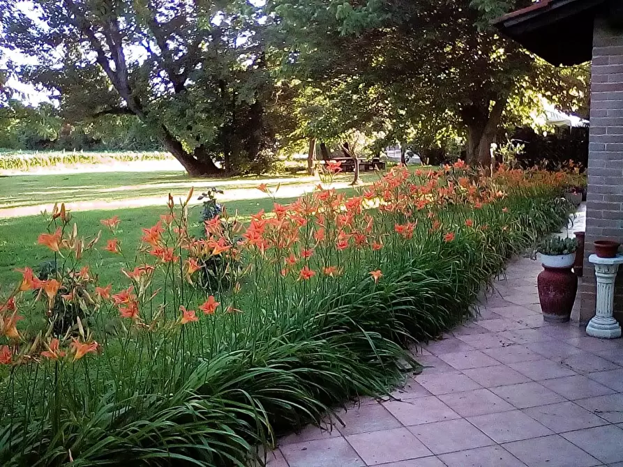 Immagine 7 di Villa in vendita  a Pontedera