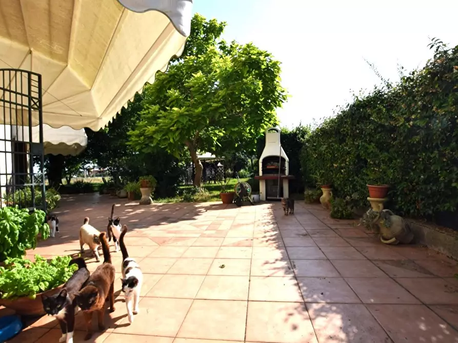 Immagine 57 di Villa in vendita  a Pontedera