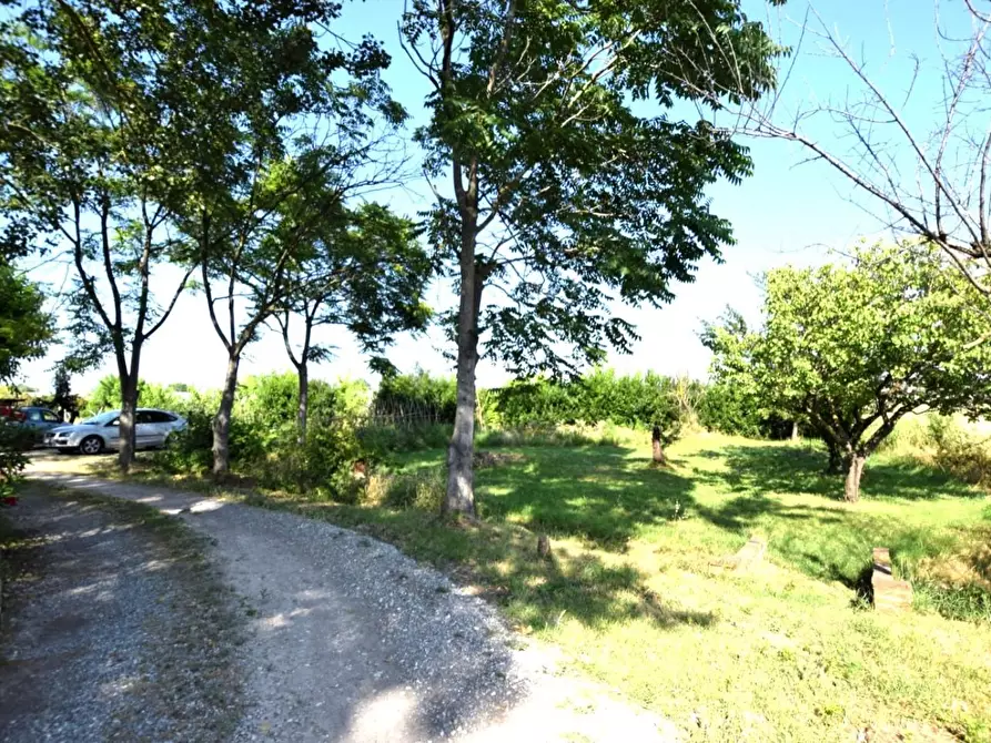 Immagine 63 di Villa in vendita  a Pontedera