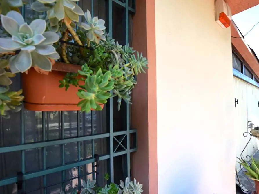 Immagine 56 di Villa in vendita  a Pontedera