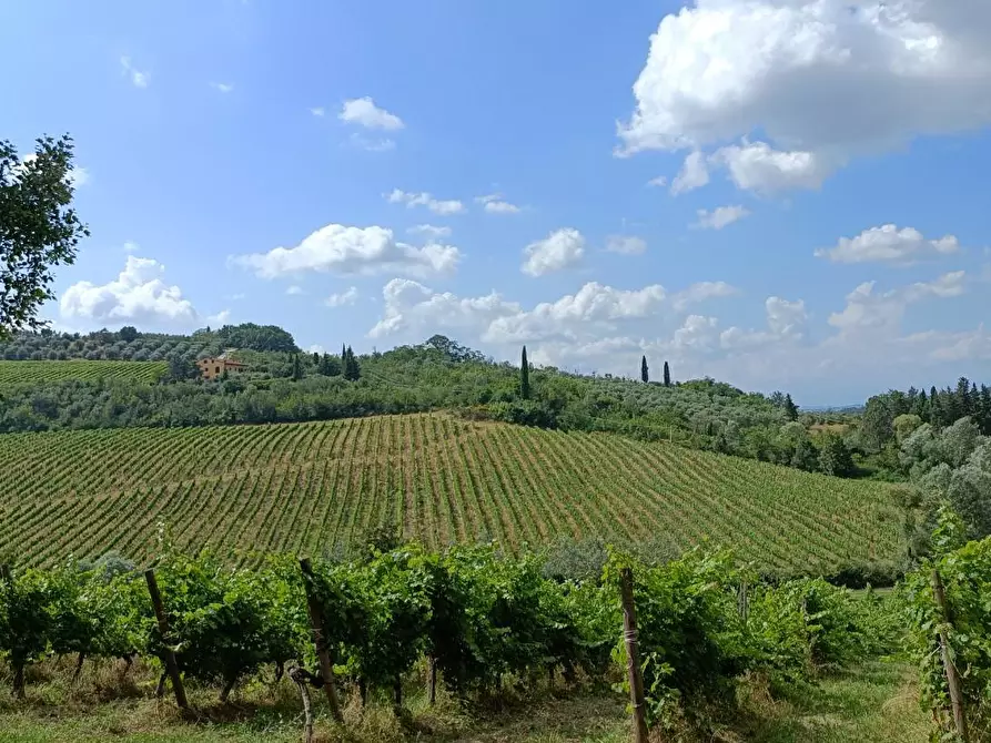 Immagine 9 di Casa colonica in vendita  a Montespertoli