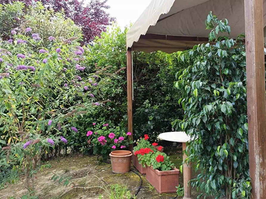 Immagine 25 di Casa colonica in vendita  a Montespertoli