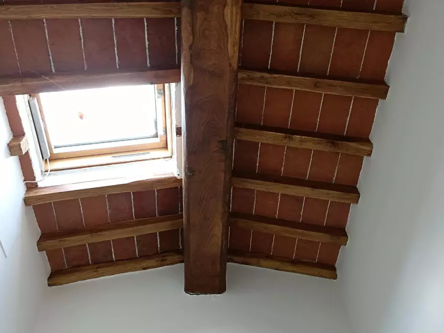 Immagine 22 di Casa colonica in vendita  a Montespertoli