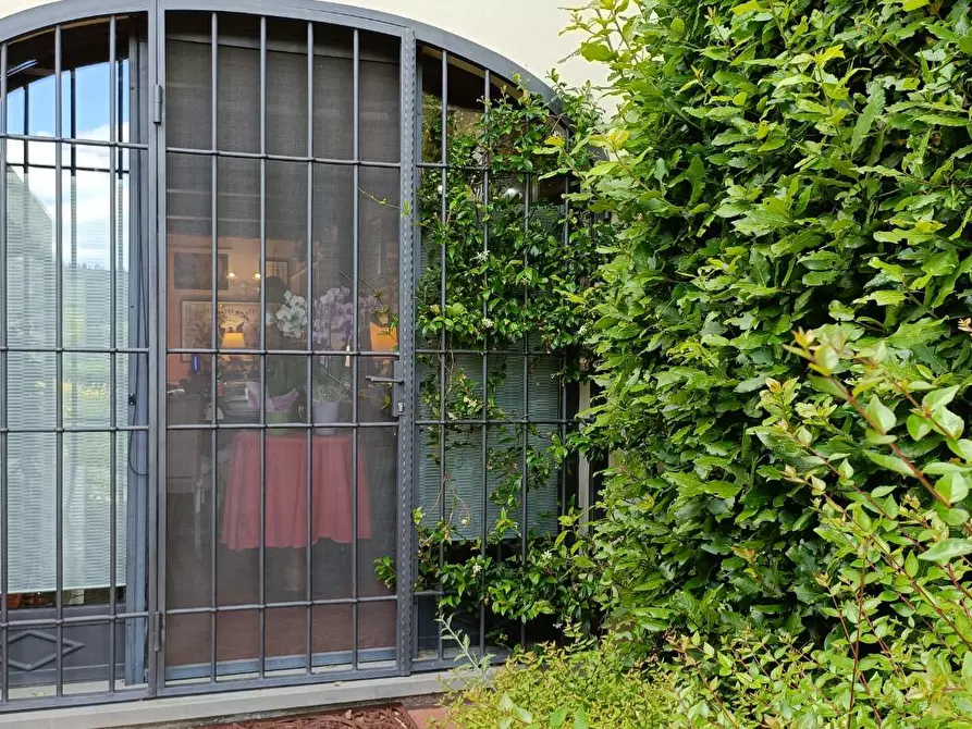 Immagine 12 di Casa colonica in vendita  a Montespertoli