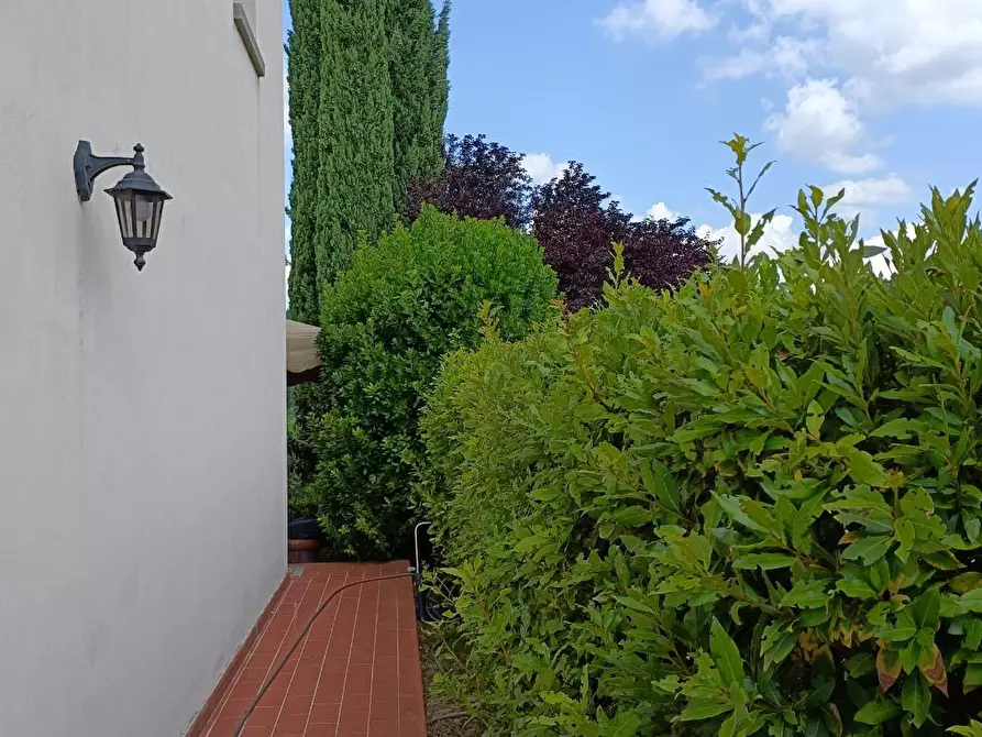 Immagine 10 di Casa colonica in vendita  a Montespertoli
