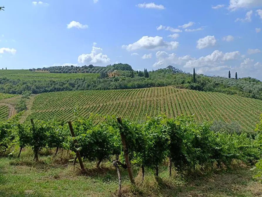 Immagine 28 di Casa colonica in vendita  a Montespertoli