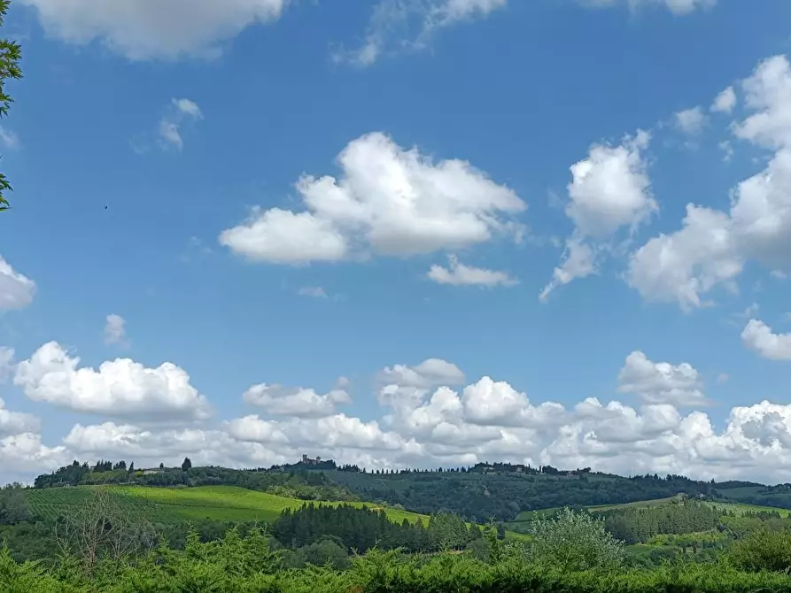 Immagine 21 di Casa colonica in vendita  a Montespertoli