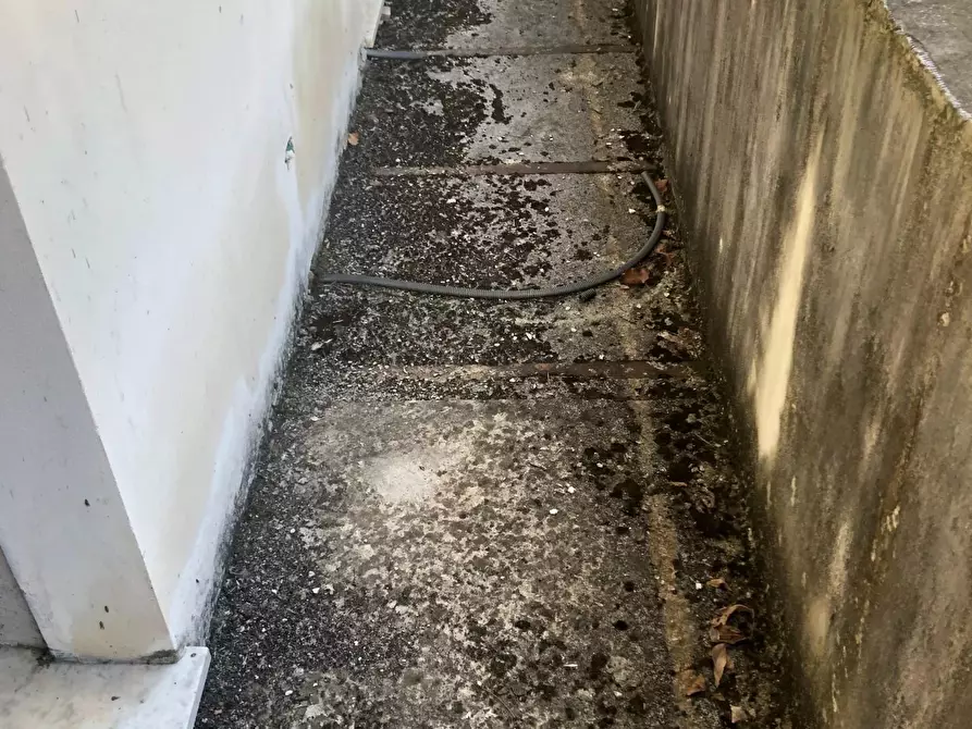 Immagine 12 di Casa semindipendente in vendita  a Massa