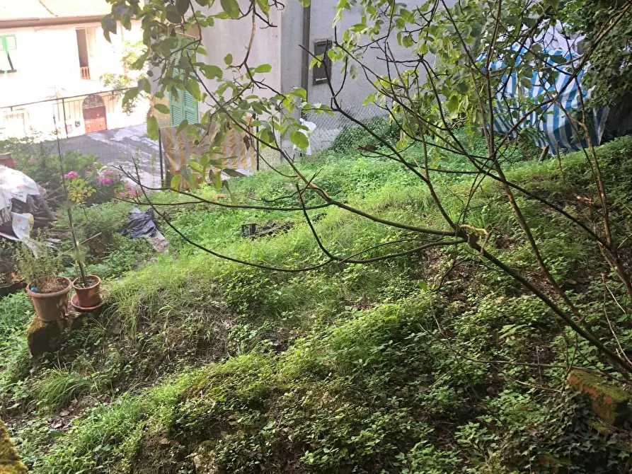 Immagine 25 di Casa semindipendente in vendita  a Massa