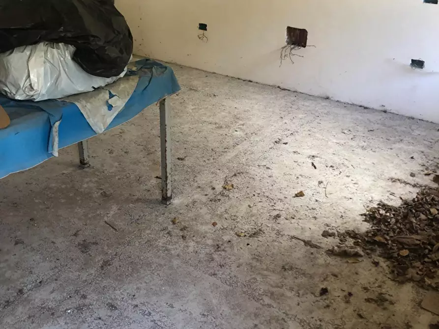 Immagine 13 di Casa semindipendente in vendita  a Massa