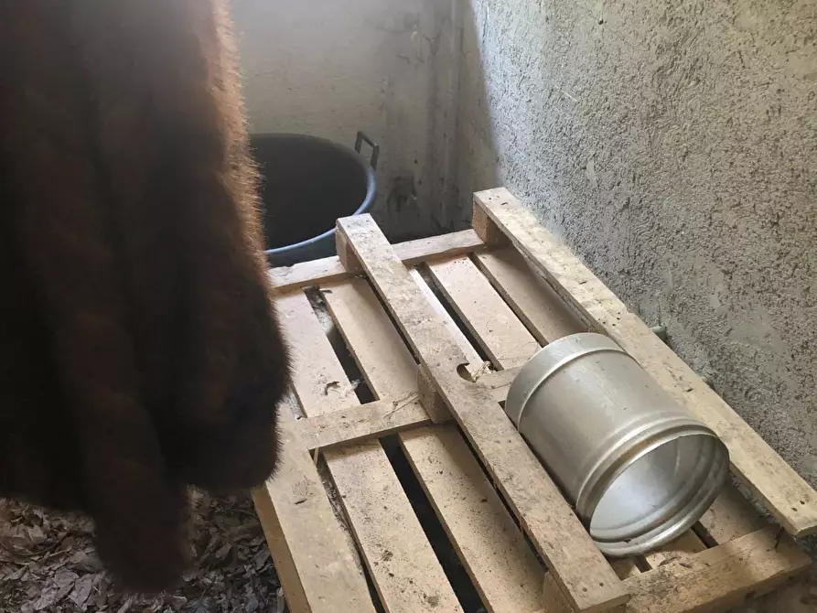 Immagine 5 di Casa semindipendente in vendita  a Massa