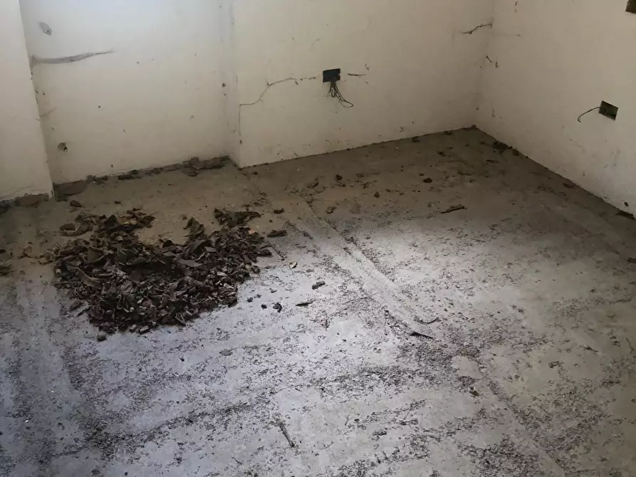 Immagine 8 di Casa semindipendente in vendita  a Massa