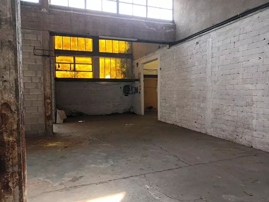 Immagine 14 di Terreno residenziale in vendita  a Porcari