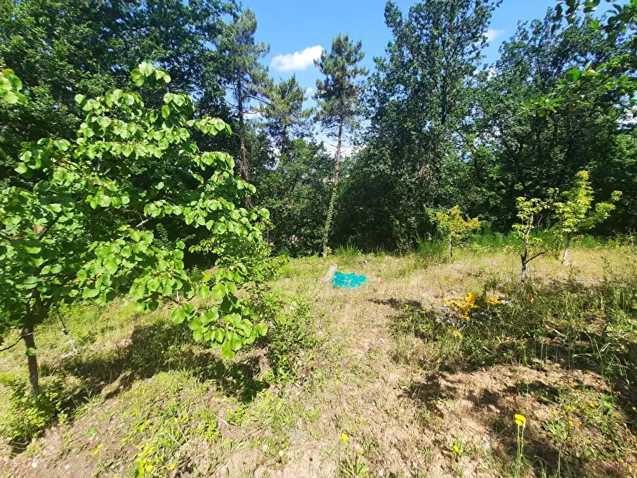 Immagine 6 di Terratetto in vendita  a Capannori