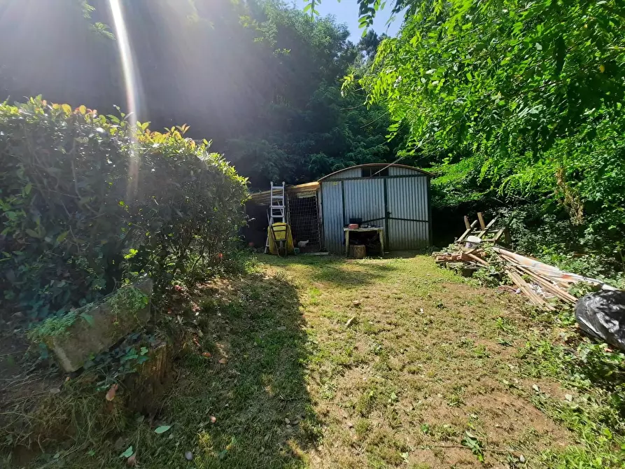 Immagine 5 di Terratetto in vendita  a Capannori