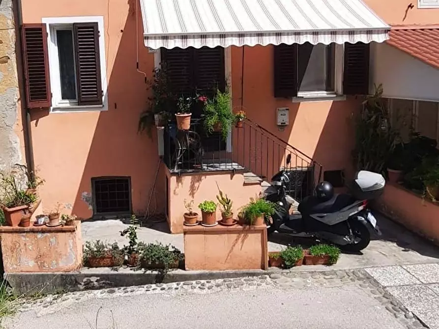 Immagine 2 di Terratetto in vendita  a Capannori