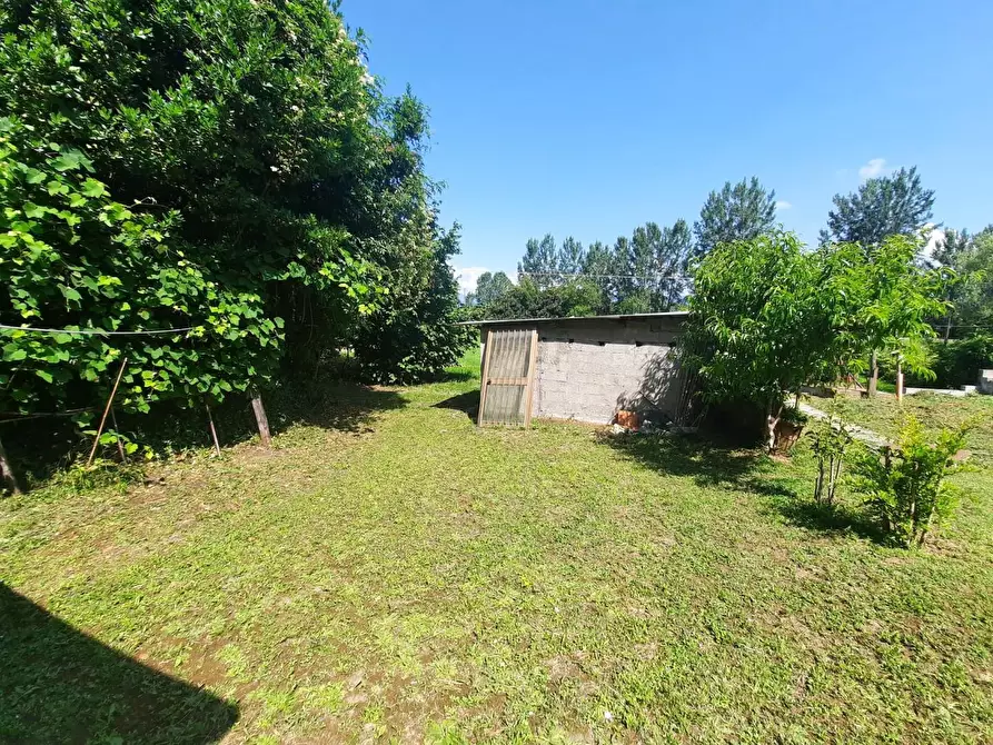 Immagine 22 di Terratetto in vendita  a Capannori