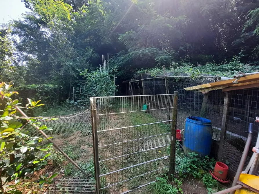 Immagine 9 di Terratetto in vendita  a Capannori