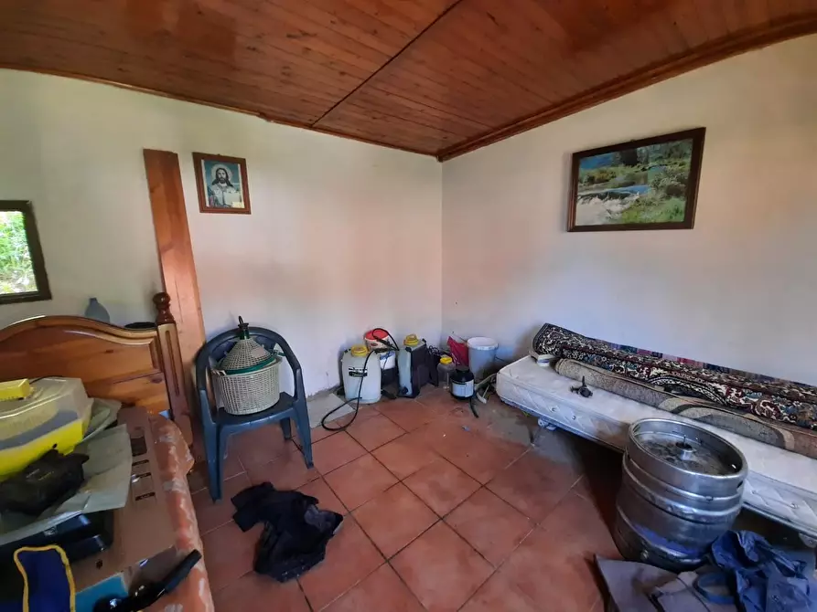 Immagine 14 di Terratetto in vendita  a Capannori