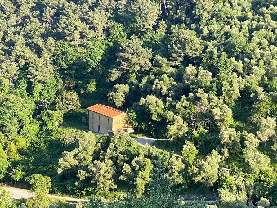 Immagine 1 di Rustico / casale in vendita  a San Giuliano Terme