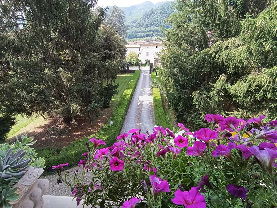 Immagine 34 di Villa in vendita  a Coreglia Antelminelli