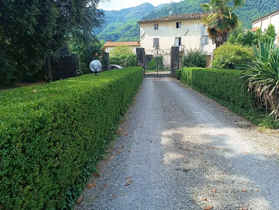 Immagine 9 di Villa in vendita  a Coreglia Antelminelli
