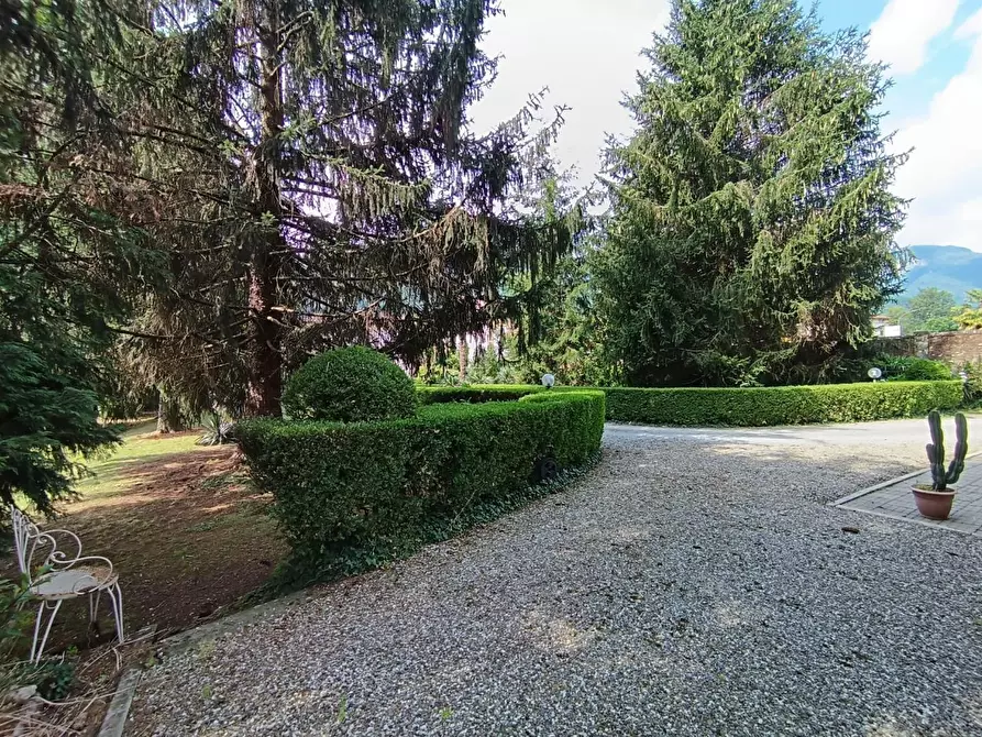 Immagine 10 di Villa in vendita  a Coreglia Antelminelli