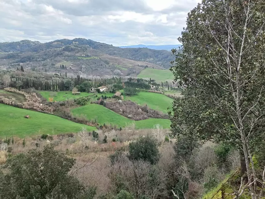 Immagine 1 di Casa colonica in vendita  a Palaia