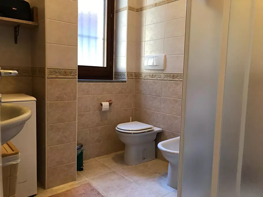 Immagine 19 di Appartamento in affitto  a Pisa