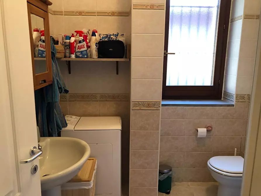 Immagine 17 di Appartamento in affitto  a Pisa