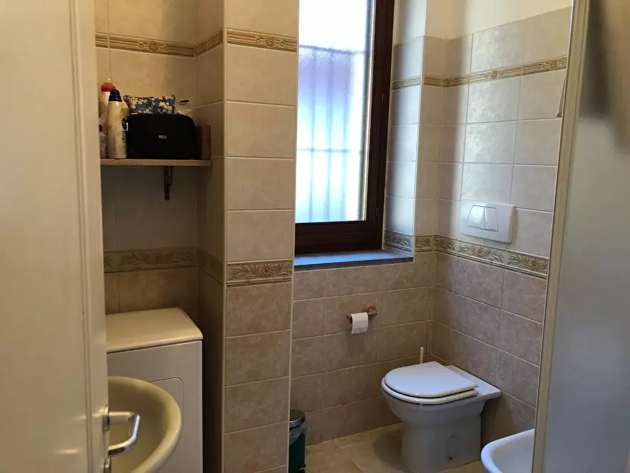 Immagine 16 di Appartamento in affitto  a Pisa