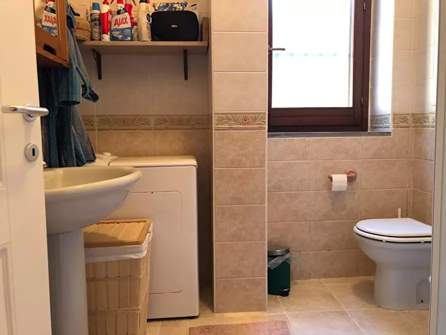 Immagine 18 di Appartamento in affitto  a Pisa