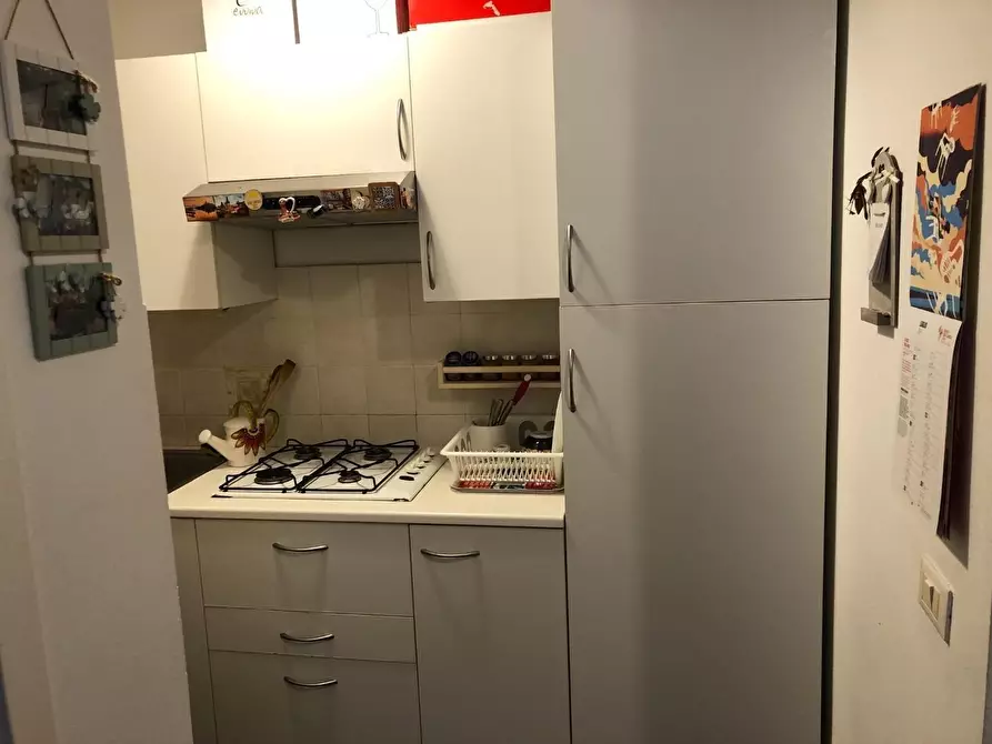 Immagine 6 di Appartamento in affitto  a Pisa