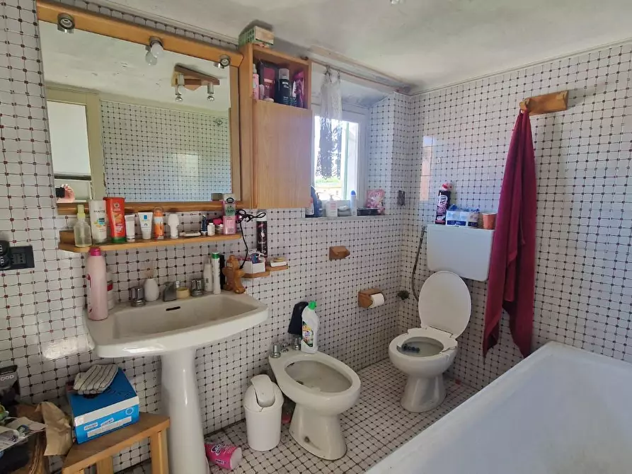 Immagine 39 di Terratetto in vendita  a Pisa