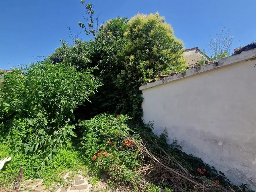 Immagine 20 di Terratetto in vendita  a Pisa