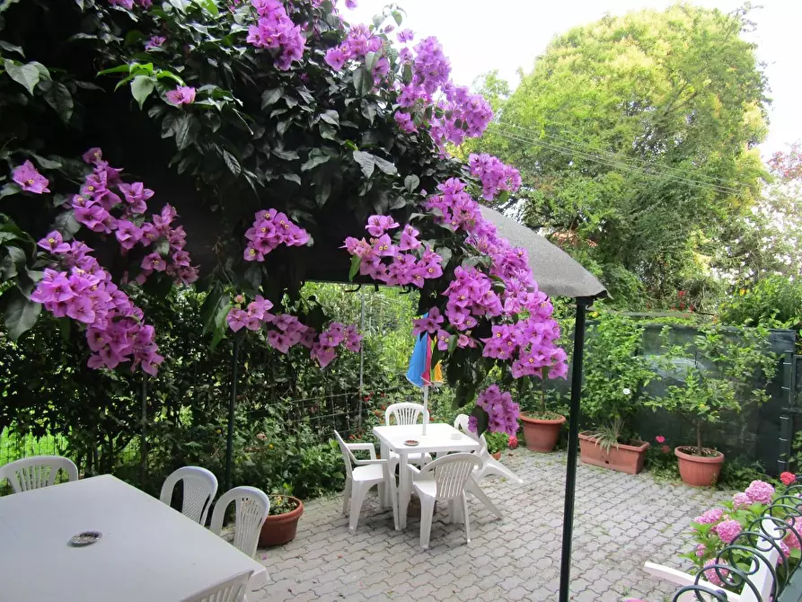 Immagine 5 di Porzione di casa in vendita  a Ameglia