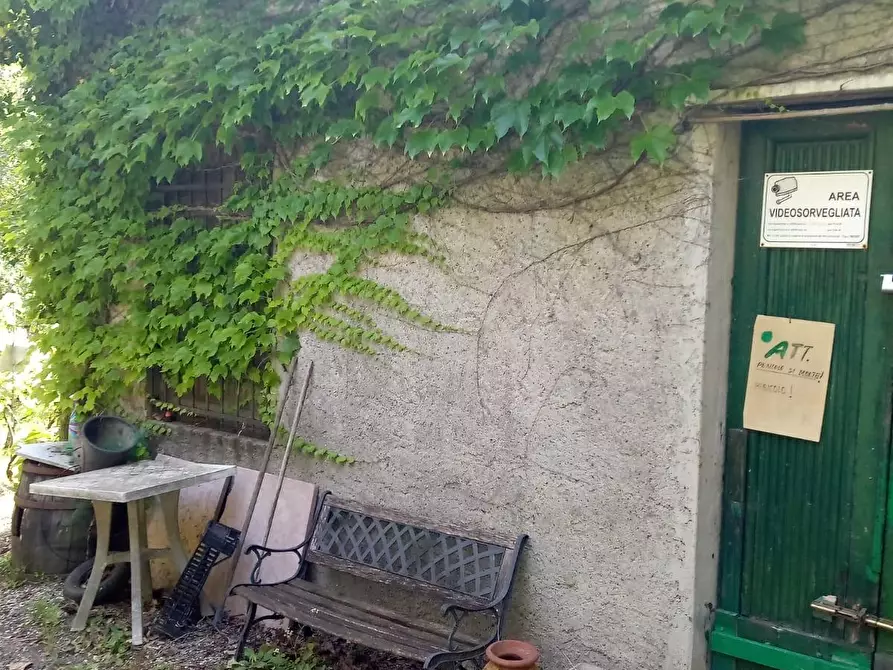 Immagine 4 di Terreno agricolo in vendita  a Sarzana