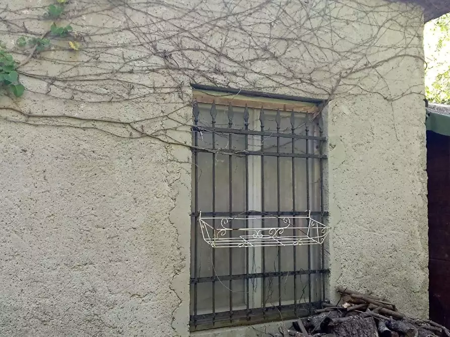 Immagine 2 di Terreno agricolo in vendita  a Sarzana