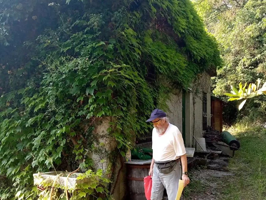 Immagine 3 di Terreno agricolo in vendita  a Sarzana