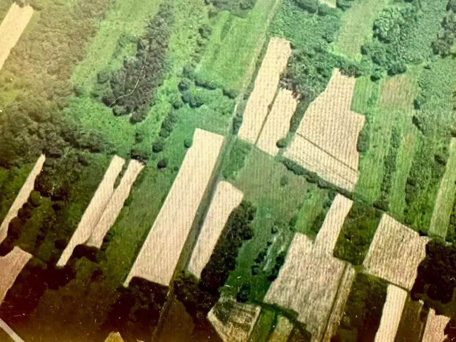 Immagine 1 di Terreno agricolo in vendita  a Porcari