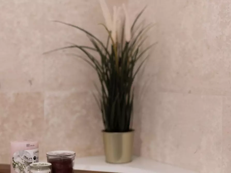 Immagine 22 di Appartamento in vendita  a Pisa