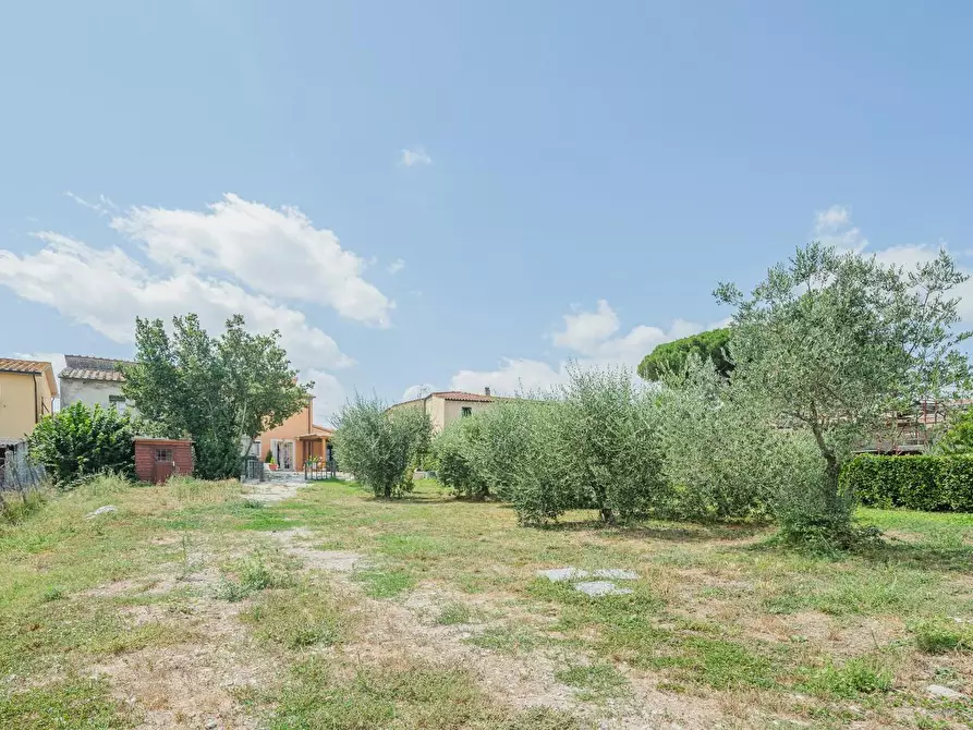 Immagine 6 di Casa indipendente in vendita  a Crespina Lorenzana