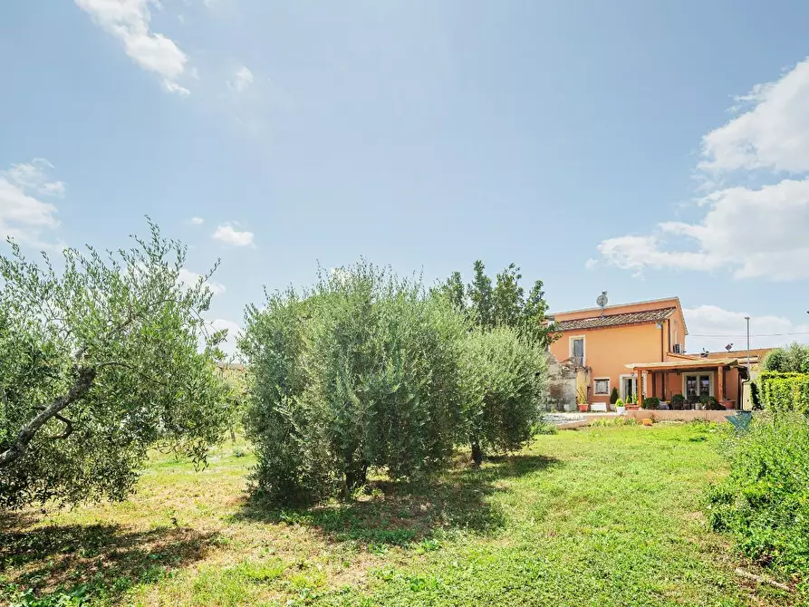Immagine 2 di Casa indipendente in vendita  a Crespina Lorenzana